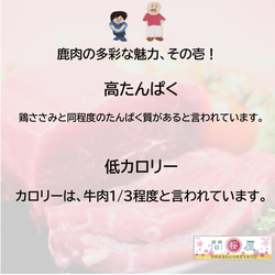 【桜問屋の極上鹿肉(外もも／お試しサイズ)】　関西三つ星シェフ推薦　（ワンポイント料理ガイド付／200~240g） 5枚目の画像