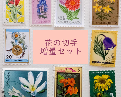 3295 外国切手 海外色々国 花シリーズ切手 大量12ページ分全て未使用極美品 花の切手 110枚 外国切手 その他素材 Microalgae Design 通販