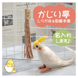 インコちゃんの✩.*˚しらかば＆国産本革のかじり亭　手書きで名入れします♪ 1枚目の画像