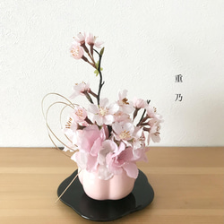 【訳ありラスト1点！】creema限定  新作　桜〜fuku ume 3枚目の画像