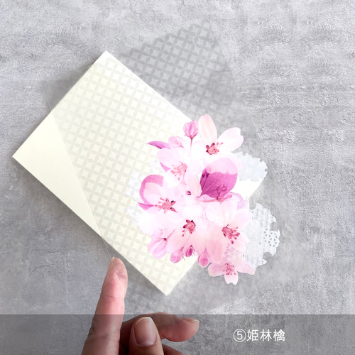 桜・紫陽花追加 / -日記や手帳にもおすすめ-ハガキサイズの透明