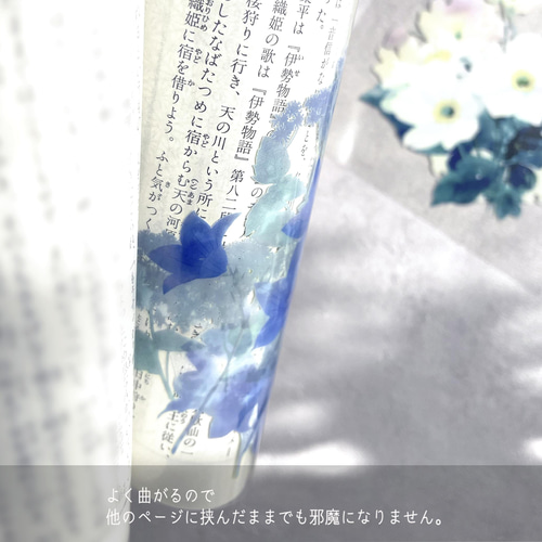 桜・紫陽花追加 / -日記や手帳にもおすすめ-ハガキサイズの透明