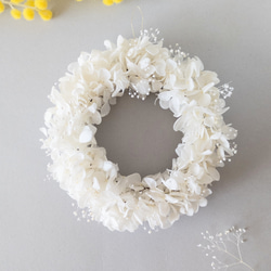 ウォッシュホワイトのリース 984f6d64333101410abe19033bc5f3