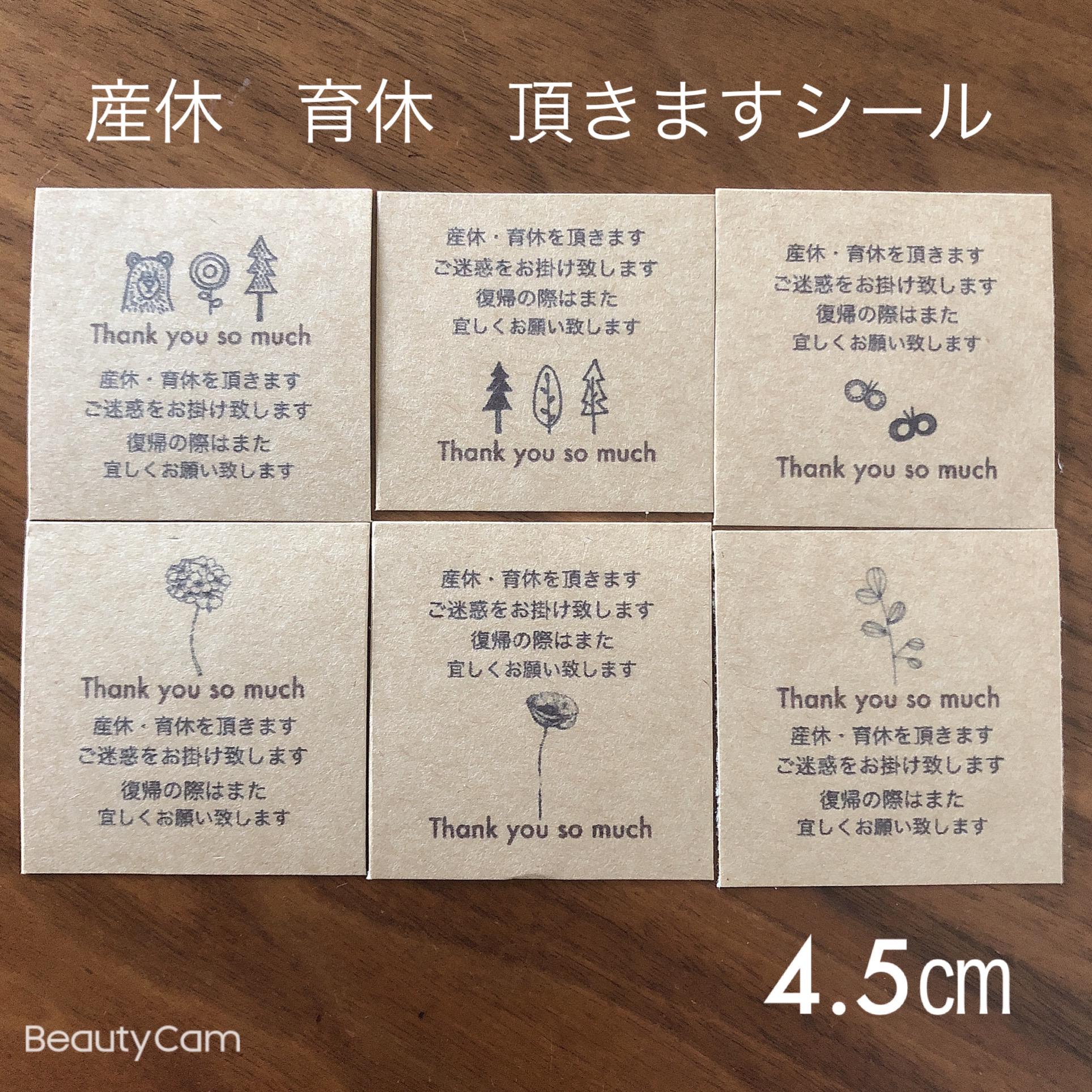 シールはお休み中です*ˊᵕˋ* 透明）ブタちゃんお知らせ 孫が乗っています 8cm シール 子ども