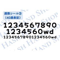 【d-1】マタニティフォトシール　タトゥーシール　妊婦　赤ちゃん　ベビー　ベリーペイント　マタニティフォト　セルフフォト 8枚目の画像