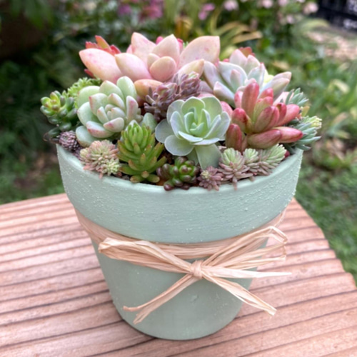 sold 素焼き鉢リメイク 多肉植物寄せ植え その他インテリア雑貨