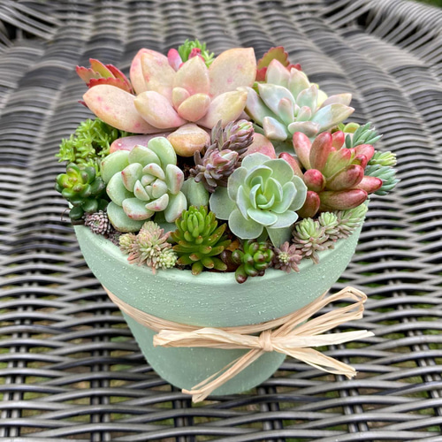 リメイク鉢素焼き鉢　★多肉植物入り★ sold 素焼き鉢リメイク 多肉植物寄せ植え その他インテリア雑貨