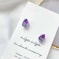 シンプル　ドライフラワー　ボタニカル　花　紫　パープル 鉱石型 一粒 ピアス  /  イヤリング　~青紫色~ 2枚目の画像