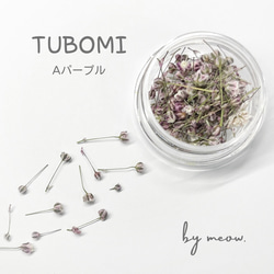 TUBOMI　Aパープル　かすみ草　ドライフラワー  蕾　紫　ムラサキ　花材 1枚目の画像