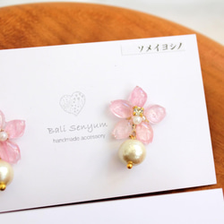 真櫻花耳環與珍珠吉野櫻桃 第3張的照片