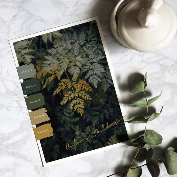 アートポスター インテリアポスター カラーパレット L判 ハガキ