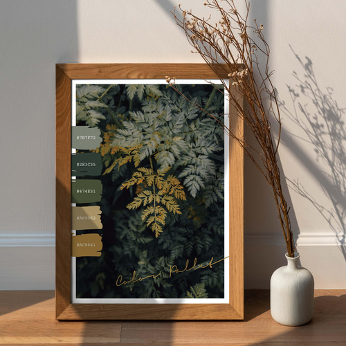 L判　イラストポスター25枚セット アートポスター インテリアポスター カラーパレット L判 ハガキ