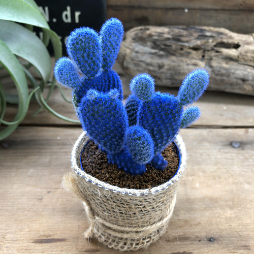 【サボテン】k483r112ワードローブ old maison 淡いブルー サボテン様専用】k483r112ワードローブ old maison 淡いブルー