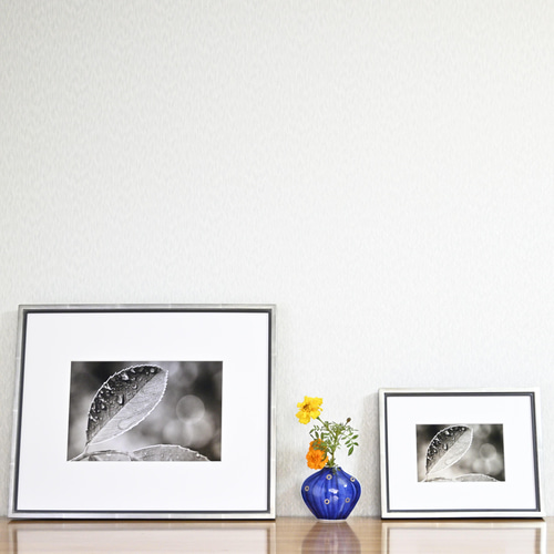 光が丸っぽくシャボン玉のように浮かぶ 【 額装 写真 】リビング