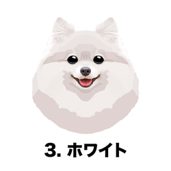 【 ポメラニアン  毛色6色 ピンク】手帳　スマホケース　うちの子　犬　ペット iPhone &Android 5枚目の画像