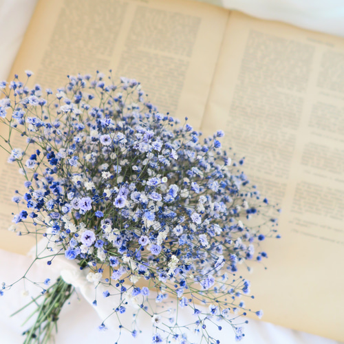 特集掲載】lavender baby's breath swag（ラベンダーカラーかすみそう