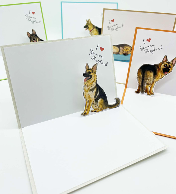 ジャーマン・シェパードのポップアップカード・メッセージカード 5点セット 封筒付き  お誕生日等のちょっとしたお祝いに 3枚目の画像