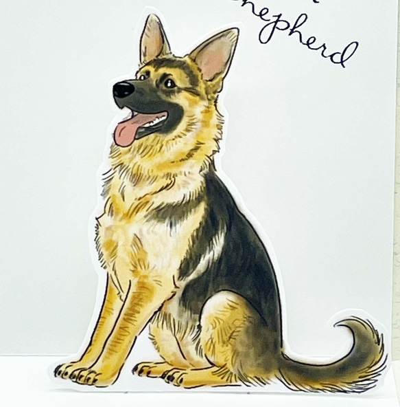 ジャーマン・シェパードのポップアップカード・メッセージカード 5点セット 封筒付き  お誕生日等のちょっとしたお祝いに 8枚目の画像