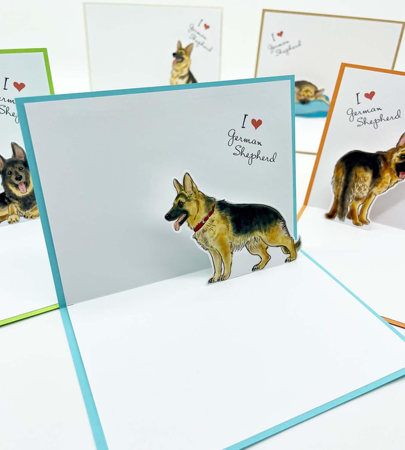 ジャーマン・シェパードのポップアップカード・メッセージカード 5点セット 封筒付き  お誕生日等のちょっとしたお祝いに 4枚目の画像