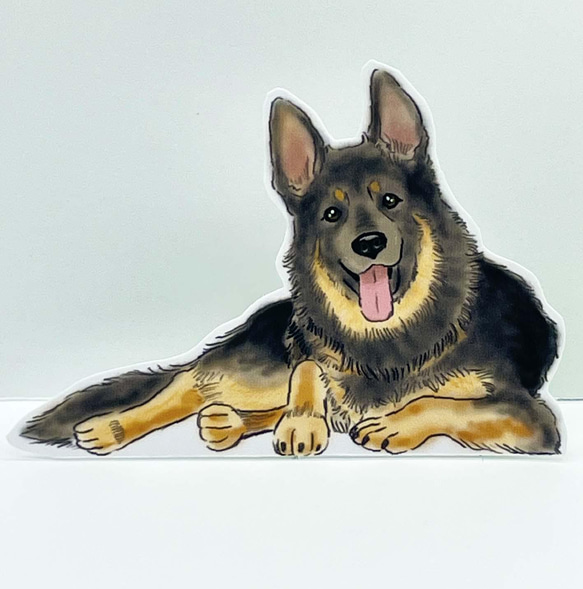 ジャーマン・シェパードのポップアップカード・メッセージカード 5点セット 封筒付き  お誕生日等のちょっとしたお祝いに 10枚目の画像