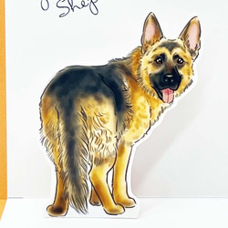 ジャーマン・シェパードのポップアップカード・メッセージカード 5点セット 封筒付き  お誕生日等のちょっとしたお祝いに 12枚目の画像