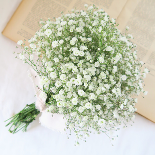 white baby's breath swag（ナチュラルホワイトかすみそうの