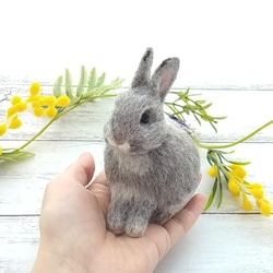 羊毛フェルト#リラックスうさぎさん(チョコレートオター) 羊毛フェルト