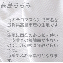不織布マスクがみえるマスクカバー　裏地は高島ちぢみ選べます　 6枚目の画像