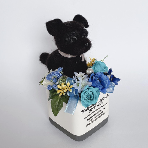 シュナウザー（黒）のプリザーブドフラワーアレンジメント　ブルー　犬　母の日 4枚目の画像