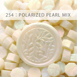 254：POLARIZED PEARL MIX【偏光パール】【5色35g：約100粒】【 1枚目の画像