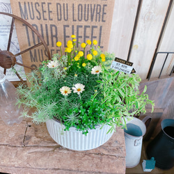 675aa0008d2891f98a51bea2c4460a