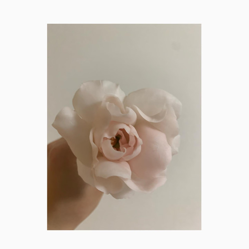 フラワー/ガーデンクレイフラワー…椿と薔薇