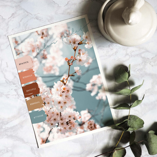 アートポスター インテリアポスター カラーパレット L判 ハガキ