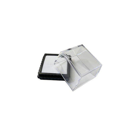 アルソトミラの種子標本箱 その他インテリア雑貨 三畳紀雑貨理科室