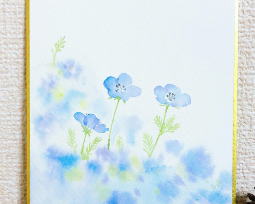 ネモフィラ 透明水彩原画 シンプル イラスト Annie.watercolor 通販