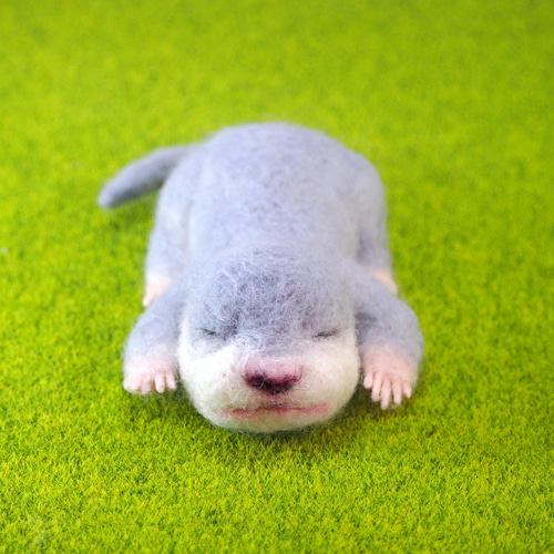 羊毛フェルトのカワウソの赤ちゃん 羊毛フェルト もふもふ動物ランド