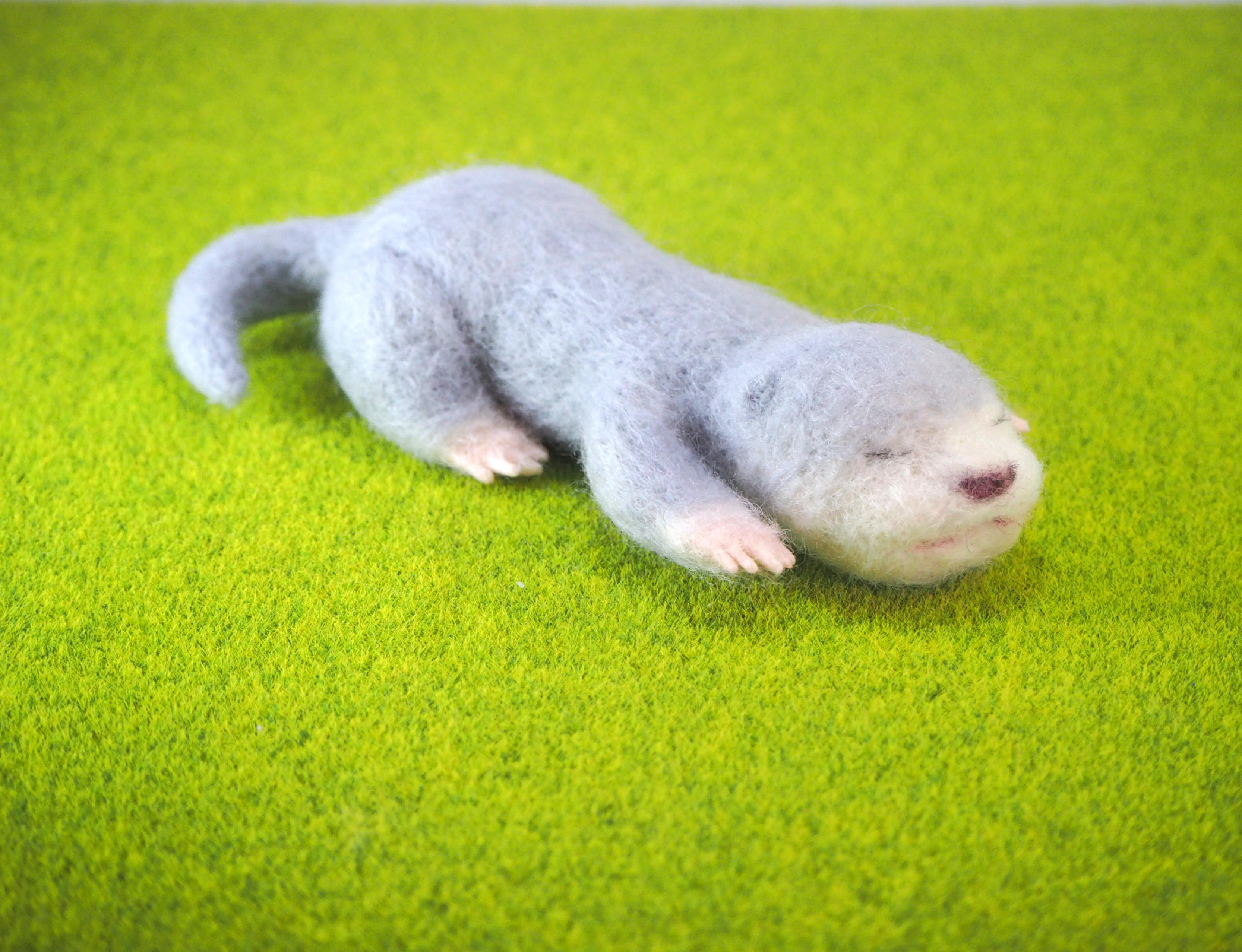 羊毛フェルトのカワウソの赤ちゃん
