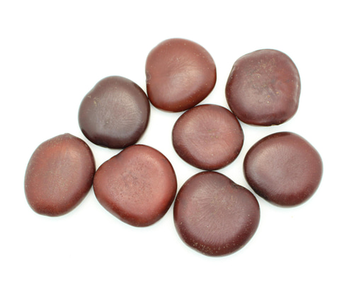 モダマ玉 pk-111 もだま 天然素材 豆 パーツ 材料 和雑貨 オリジナル