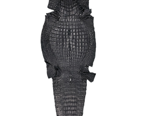 6afc518bf0f5cd2de022d90140bfab