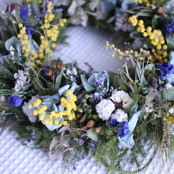 ミモザと青い小花の花冠風リース✳︎ドライフラワー◎26センチ 3枚目の画像