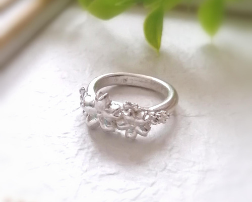 桜満開ピュアシルバーリング 約10号サイズ 純銀さくらの指輪 指輪