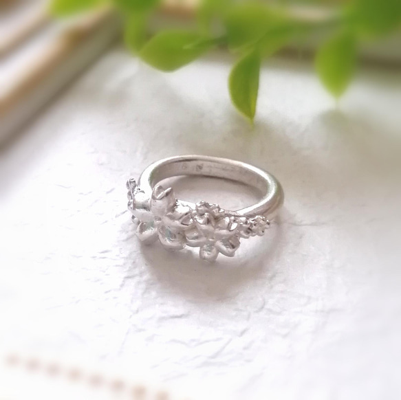 桜満開ピュアシルバーリング 約10号サイズ 純銀さくらの指輪 指輪