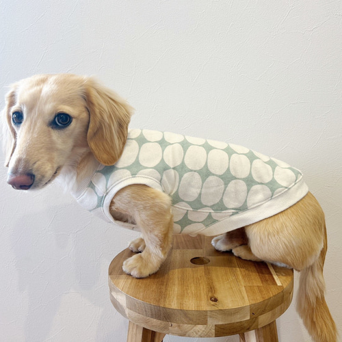 あったかトレーナー生地 ダックス服 ロングLサイズ 北欧ドット ミント 