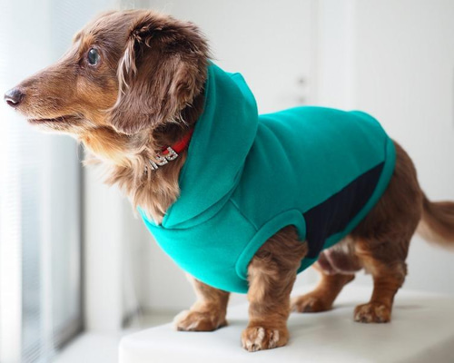 54e68f003e50e8893dbe34705f337d