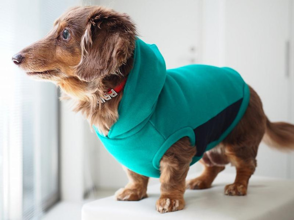 サラダページです　ダックスフンド　犬服　犬の服　ダックス Amazon | ダックスフンド ダックス 服 犬服 レインコート ドッグ