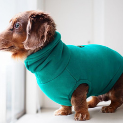 犬服　ニットのハイネックタンクトップ　グリーン 7枚目の画像