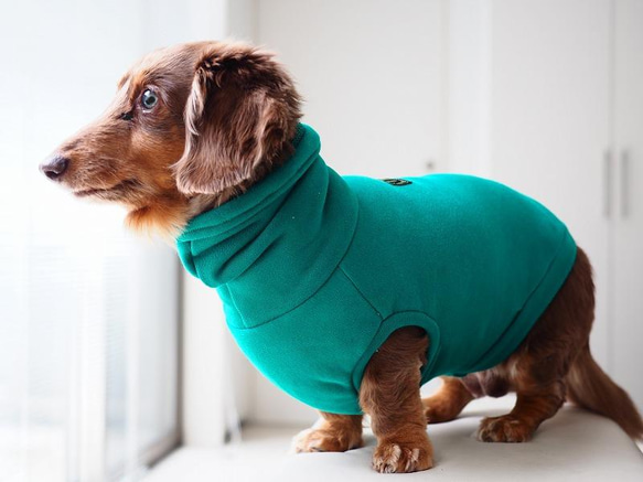 犬服　ニットのハイネックタンクトップ　グリーン 7枚目の画像