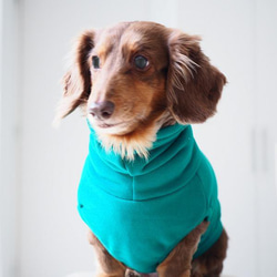 犬服　ニットのハイネックタンクトップ　グリーン 5枚目の画像
