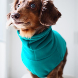 犬服　ニットのハイネックタンクトップ　グリーン 9枚目の画像
