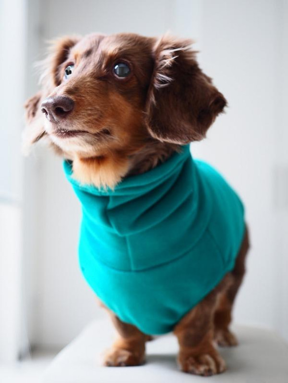 犬服　ニットのハイネックタンクトップ　グリーン 9枚目の画像